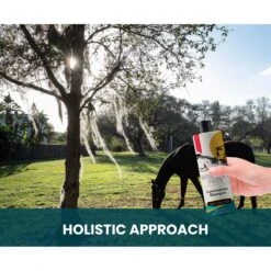 Gou Gou Pets Lemongrass Dog Shampoo, 16-oz Bottle -Furry Friends 917974 PT7. AC SS1800 V1694442933