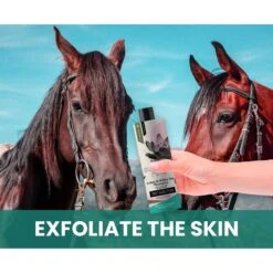 Gou Gou Pets Lotus & White Tea Dog Shampoo, 16-oz Bottle 13 Gou Gou Pets Lotus & White Tea Dog Shampoo, 16-oz Bottle -Furry Friends 917990 PT3. AC SS1800 V1694442930