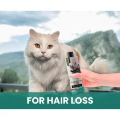 Gou Gou Pets Lotus & White Tea Dog Shampoo, 16-oz Bottle 16 Gou Gou Pets Lotus & White Tea Dog Shampoo, 16-oz Bottle -Furry Friends 917990 PT6. AC SS1800 V1694442924