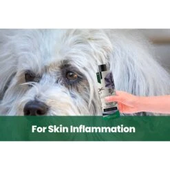 Gou Gou Pets Therapeutic Dog, Cat & Horse Shampoo, 16-oz Bottle -Furry Friends 918006 PT4. AC SS1800 V1694442986