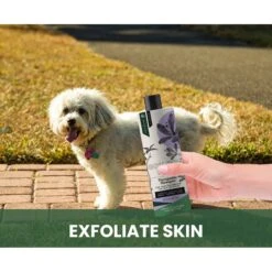 Gou Gou Pets Therapeutic Dog, Cat & Horse Shampoo, 16-oz Bottle -Furry Friends 918006 PT5. AC SS1800 V1694443046