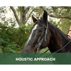 Gou Gou Pets Therapeutic Dog, Cat & Horse Shampoo, 16-oz Bottle -Furry Friends 918006 PT7. AC SS1800 V1694442931