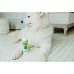 Earthbath Shed Control Green Tea & Awapuhi Dog & Cat Shampoo -Furry Friends 92234 PT4. AC SS1800 V1642473432