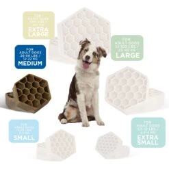 Yummy Combs Chicken Flossing Dental Dog Treats, Medium, 30 Count -Furry Friends 922694 PT3. AC SS1800 V1692624749