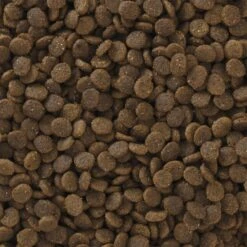 Pro Pac Ultimates Savanna Pride Chicken Grain-Free Indoor Dry Cat Food 10 Pro Pac Ultimates Savanna Pride Chicken Grain-Free Indoor Dry Cat Food -Furry Friends 92667 PT2. AC SS1800 V1548869610