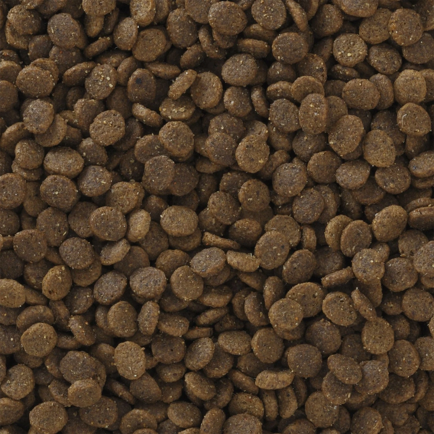 Pro Pac Ultimates Savanna Pride Chicken Grain-Free Indoor Dry Cat Food 5 Pro Pac Ultimates Savanna Pride Chicken Grain-Free Indoor Dry Cat Food - Image 3