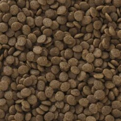 Pro Pac Ultimates Deep Sea Select Whitefish Grain-Free Indoor Dry Cat Food 10 Pro Pac Ultimates Deep Sea Select Whitefish Grain-Free Indoor Dry Cat Food -Furry Friends 92670 PT2. AC SS1800 V1548869619