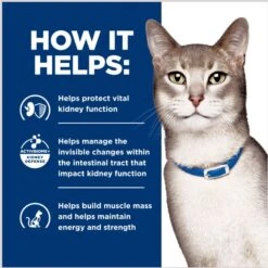 Hill's Prescription Diet K/d Kidney Care With Ocean Fish Dry Cat Food -Furry Friends 92893 PT5. AC SS1800 V1691772452