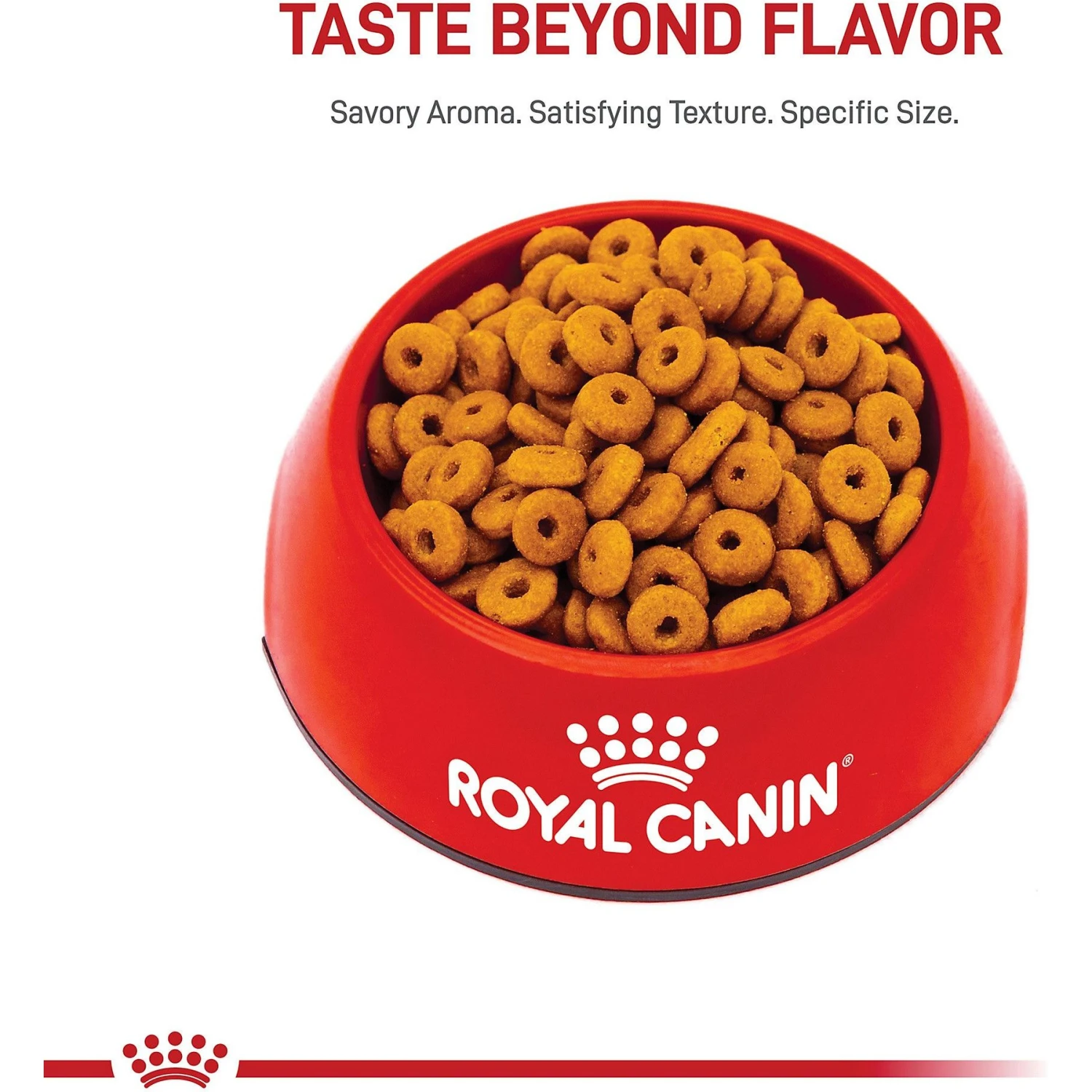 Royal Canin Feline Care Nutrition Digestive Care Dry Cat Food 4 Royal Canin Feline Care Nutrition Digestive Care Dry Cat Food - Image 2