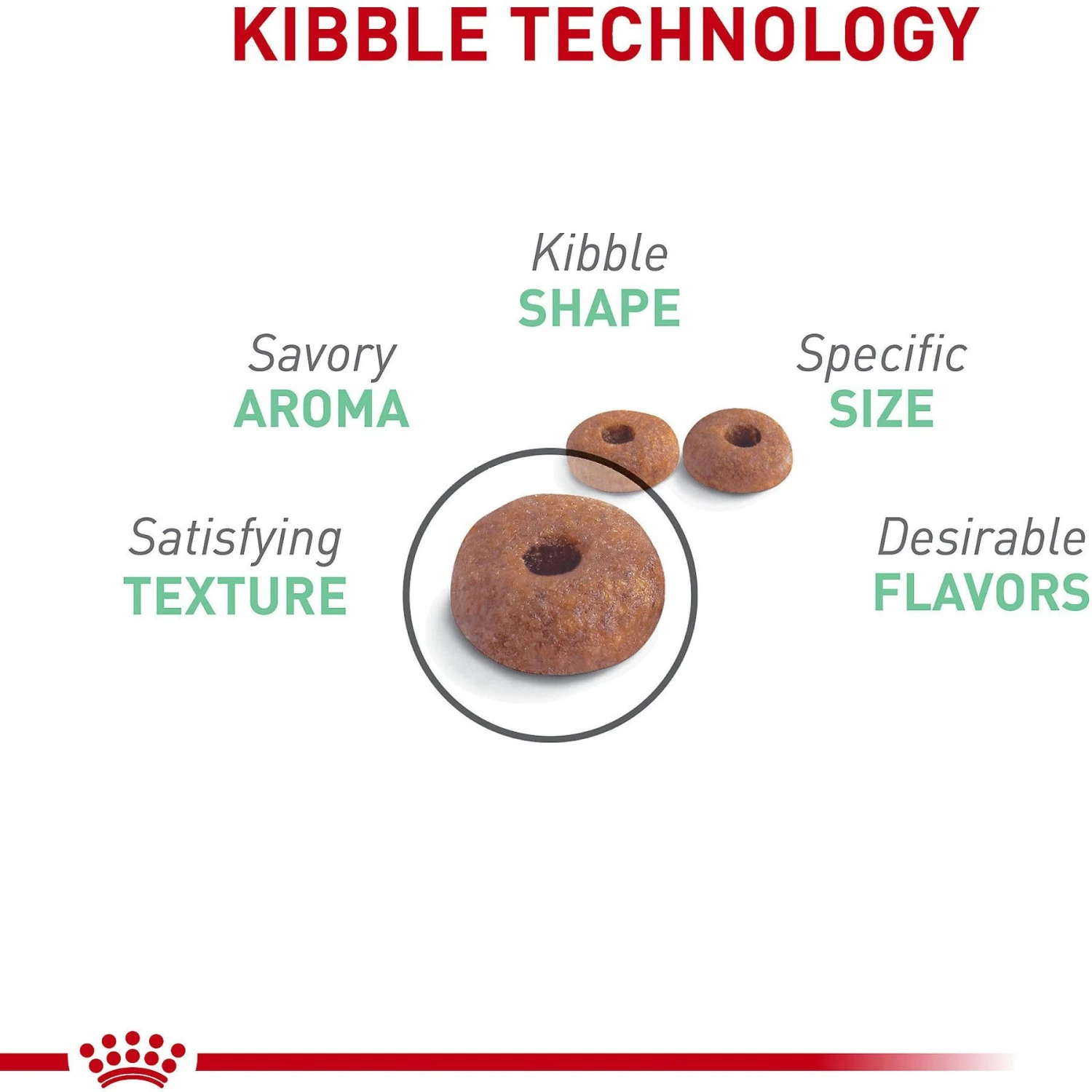 Royal Canin Feline Care Nutrition Digestive Care Dry Cat Food 6 Royal Canin Feline Care Nutrition Digestive Care Dry Cat Food - Image 4