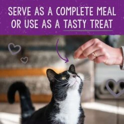 Stella & Chewy's Dinner Morsels Plate Lickin' Pork Recipe Cat Dried Food -Furry Friends 931710 PT8. AC SS1800 V1693336656