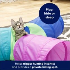 Frisco Foldable Play Tri-Tunnel Cat Toy & Frisco Butterfly Cat Tracks Cat Toy -Furry Friends 933438 PT4. AC SS1800 V1692305507