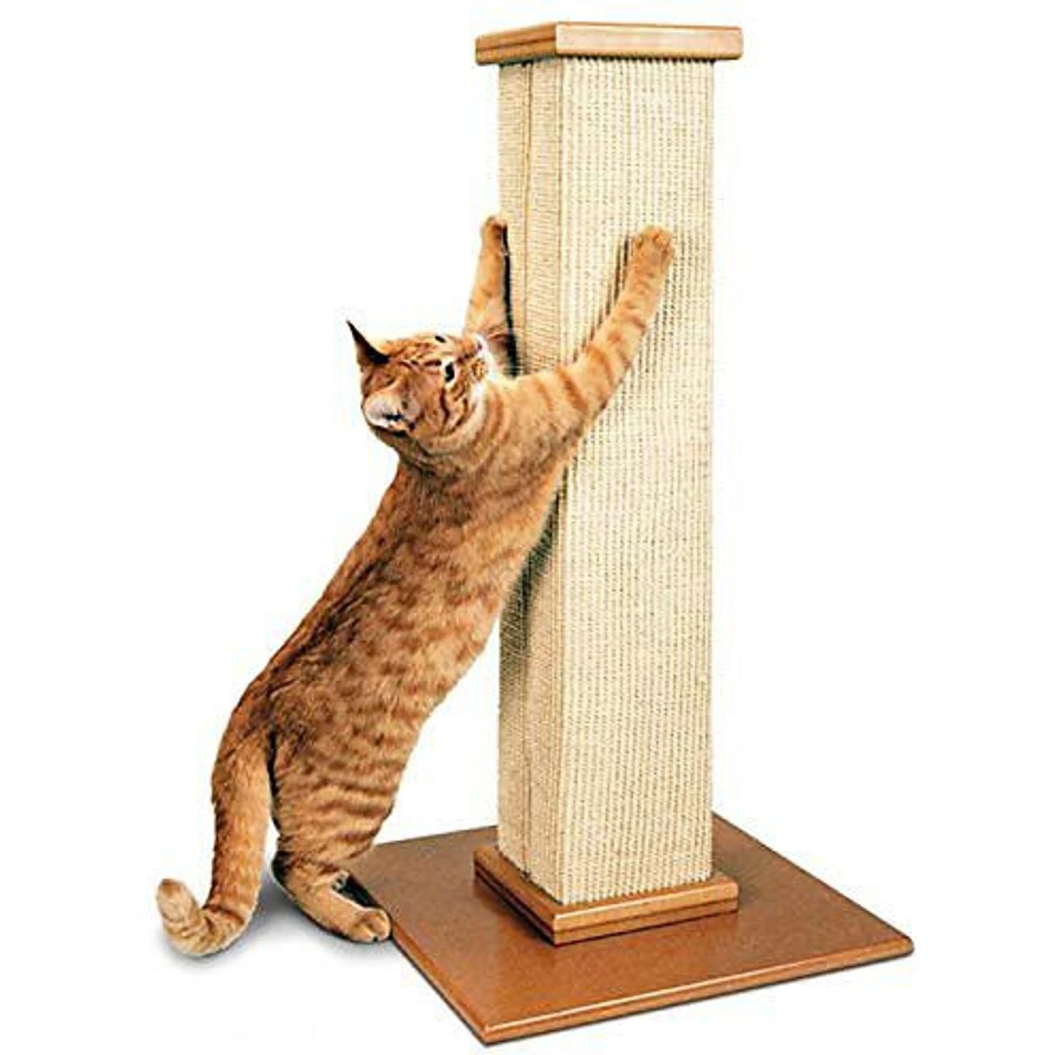 SmartCat The Ultimate 32-in Sisal Cat Scratching Post & SmartCat Bootsie's Combination Scratcher 4 SmartCat The Ultimate 32-in Sisal Cat Scratching Post & SmartCat Bootsie's Combination Scratcher - Image 2