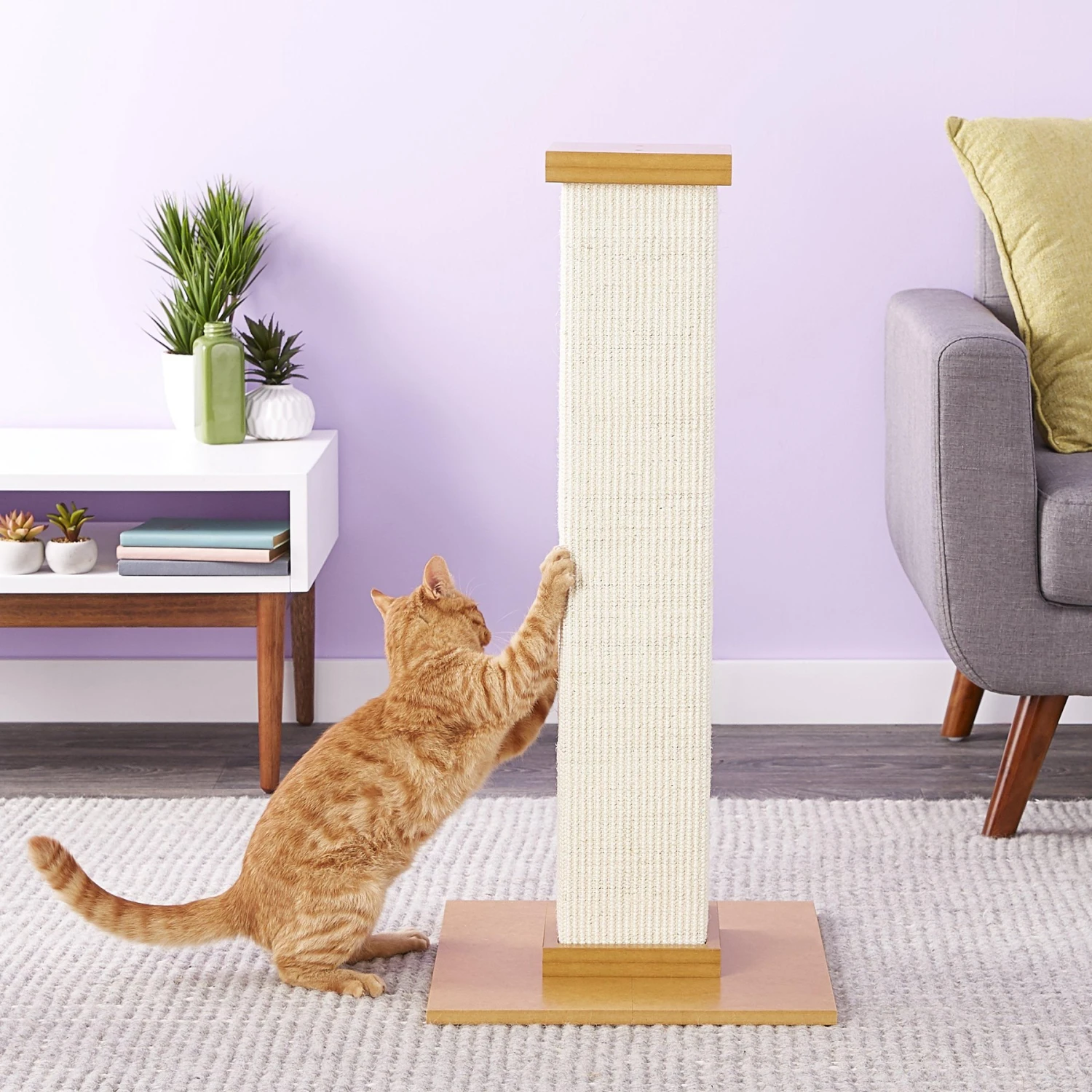 SmartCat The Ultimate 32-in Sisal Cat Scratching Post & SmartCat Bootsie's Combination Scratcher 7 SmartCat The Ultimate 32-in Sisal Cat Scratching Post & SmartCat Bootsie's Combination Scratcher - Image 5