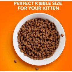 Iams ProActive Health Kitten Dry Cat Food -Furry Friends 93654 PT3. AC SS1800 V1609948058