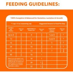 Iams ProActive Health Kitten Dry Cat Food -Furry Friends 93654 PT6. AC SS1800 V1609949353