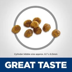 Hill's Science Diet Adult 7+ Chicken Recipe Dry Cat Food -Furry Friends 93924 PT2. AC SS1800 V1598151665