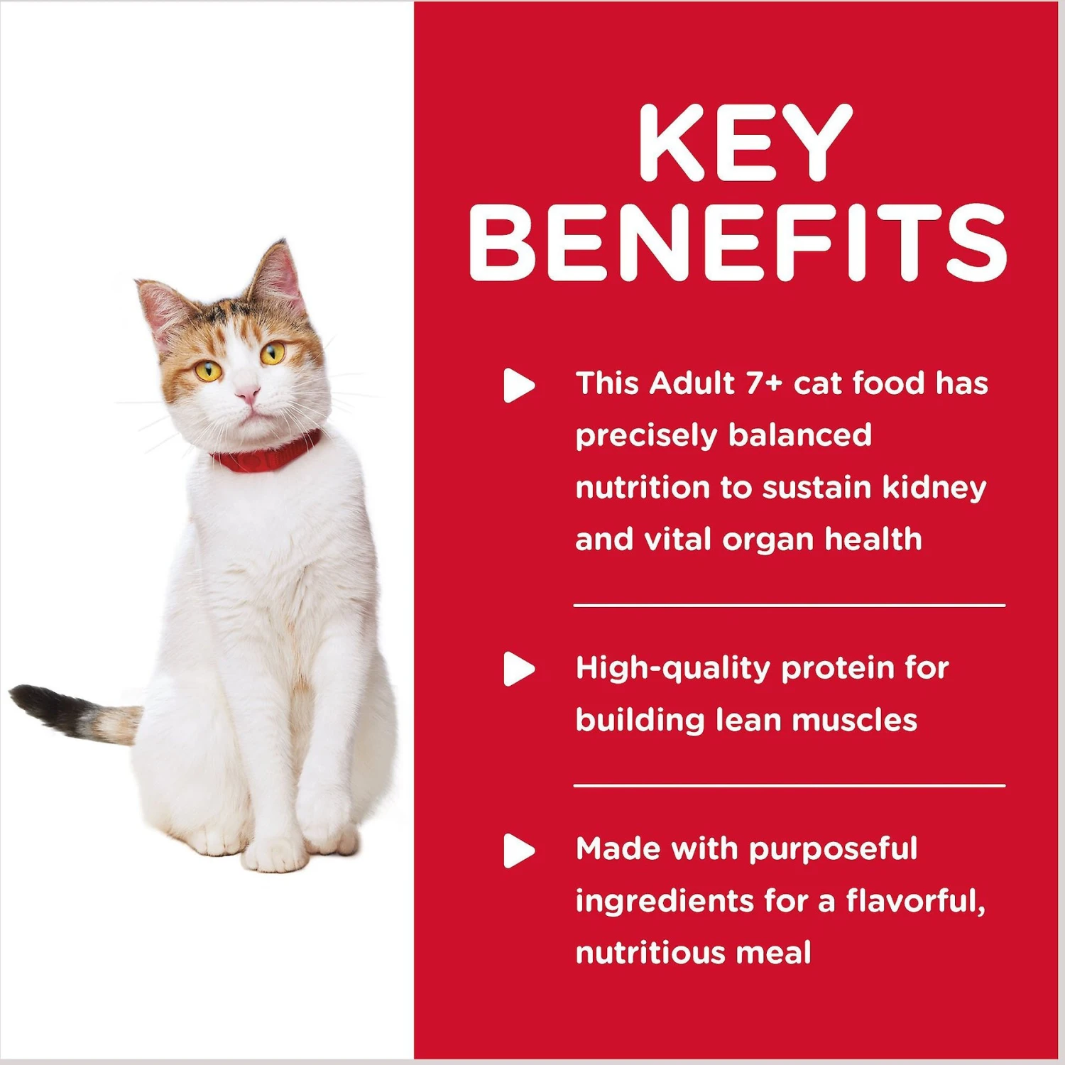 Hill's Science Diet Adult 7+ Healthy Cuisine Roasted Chicken & Rice Medley Canned Cat Food 6 Hill's Science Diet Adult 7+ Healthy Cuisine Roasted Chicken & Rice Medley Canned Cat Food - Image 4