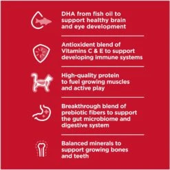 Hill's Science Diet Kitten Healthy Cuisine Tender Chicken & Rice Medley Canned Cat Food -Furry Friends 94018 PT3. AC SS1800 V1693497930