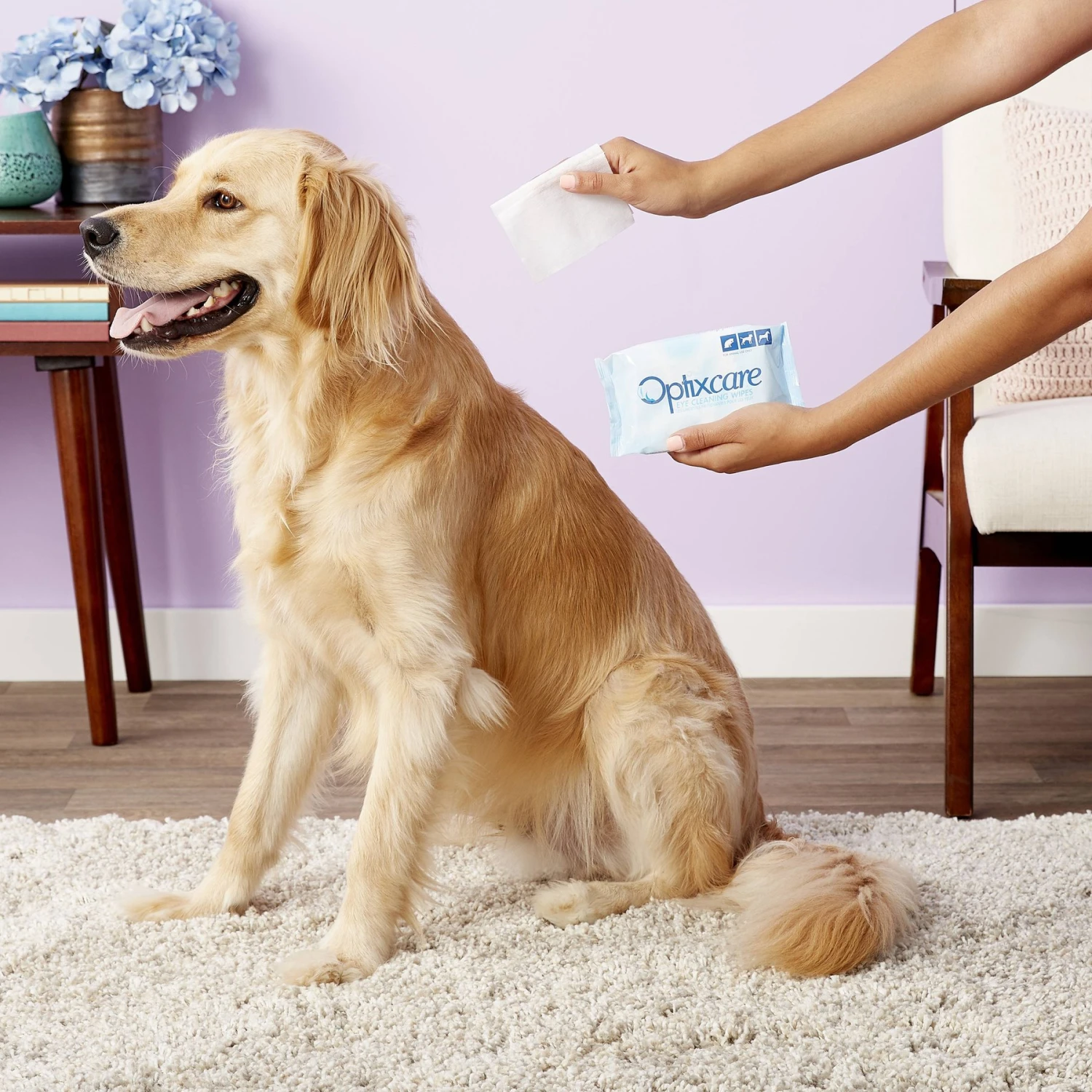 Optixcare Dog & Cat Eye Cleaner & Optixcare Dog & Cat Eye Cleaning Wipes 11 Optixcare Dog & Cat Eye Cleaner & Optixcare Dog & Cat Eye Cleaning Wipes - Image 9