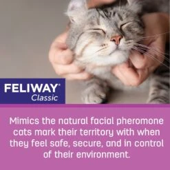 Feliway Classic Calming Diffuser Refill For Cats, 30 Day -Furry Friends 94181 PT5. AC SS1800 V1685735627