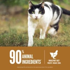 ORIJEN Original Grain-Free Dry Cat Food & ORIJEN Original Grain-Free Freeze-Dried Cat Treats -Furry Friends 947310 PT4. AC SS1800 V1693925143