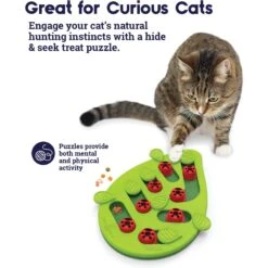 Nina Ottosson By Outward Hound Buggin' Out Puzzle & Play Cat Toy & Doc & Phoebe's Cat Co. Indoor Hunting Cat Feeder Kit 15 Nina Ottosson By Outward Hound Buggin' Out Puzzle & Play Cat Toy & Doc & Phoebe's Cat Co. Indoor Hunting Cat Feeder Kit -Furry Friends 947542 PT4. AC SS1800 V1693925091