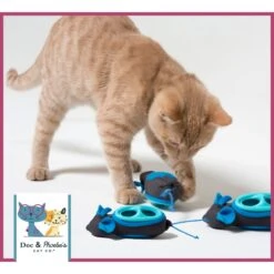 Nina Ottosson By Outward Hound Buggin' Out Puzzle & Play Cat Toy & Doc & Phoebe's Cat Co. Indoor Hunting Cat Feeder Kit 19 Nina Ottosson By Outward Hound Buggin' Out Puzzle & Play Cat Toy & Doc & Phoebe's Cat Co. Indoor Hunting Cat Feeder Kit -Furry Friends 947542 PT8. AC SS1800 V1693600221