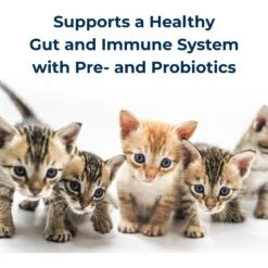 PetAg KMR Powder Milk Supplement For Kittens & PetAg KMR Liquid Milk Supplement For Kittens -Furry Friends 947822 PT4. AC SS1800 V1693344548