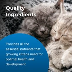 PetAg KMR Powder Milk Supplement For Kittens & PetAg KMR Liquid Milk Supplement For Kittens -Furry Friends 947822 PT5. AC SS1800 V1693344549