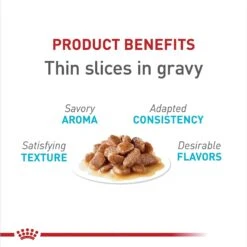 Royal Canin Feline Care Nutrition Urinary Care Thin Slices In Gravy Wet Cat Food, 3-oz Can, Case Of 12 13 Royal Canin Feline Care Nutrition Urinary Care Thin Slices In Gravy Wet Cat Food, 3-oz Can, Case Of 12 -Furry Friends 950350 PT2. AC SS1800 V1694790547