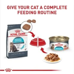 Royal Canin Feline Care Nutrition Urinary Care Thin Slices In Gravy Wet Cat Food, 3-oz Can, Case Of 12 16 Royal Canin Feline Care Nutrition Urinary Care Thin Slices In Gravy Wet Cat Food, 3-oz Can, Case Of 12 -Furry Friends 950350 PT5. AC SS1800 V1694791252