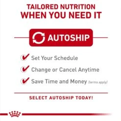 Royal Canin Feline Health Nutrition Adult Indoor & Instinctive Variety Pack Wet Cat Food, 3-oz Can, Case Of 12 11 Royal Canin Feline Health Nutrition Adult Indoor & Instinctive Variety Pack Wet Cat Food, 3-oz Can, Case Of 12 -Furry Friends 950366 PT4. AC SS1800 V1693497983