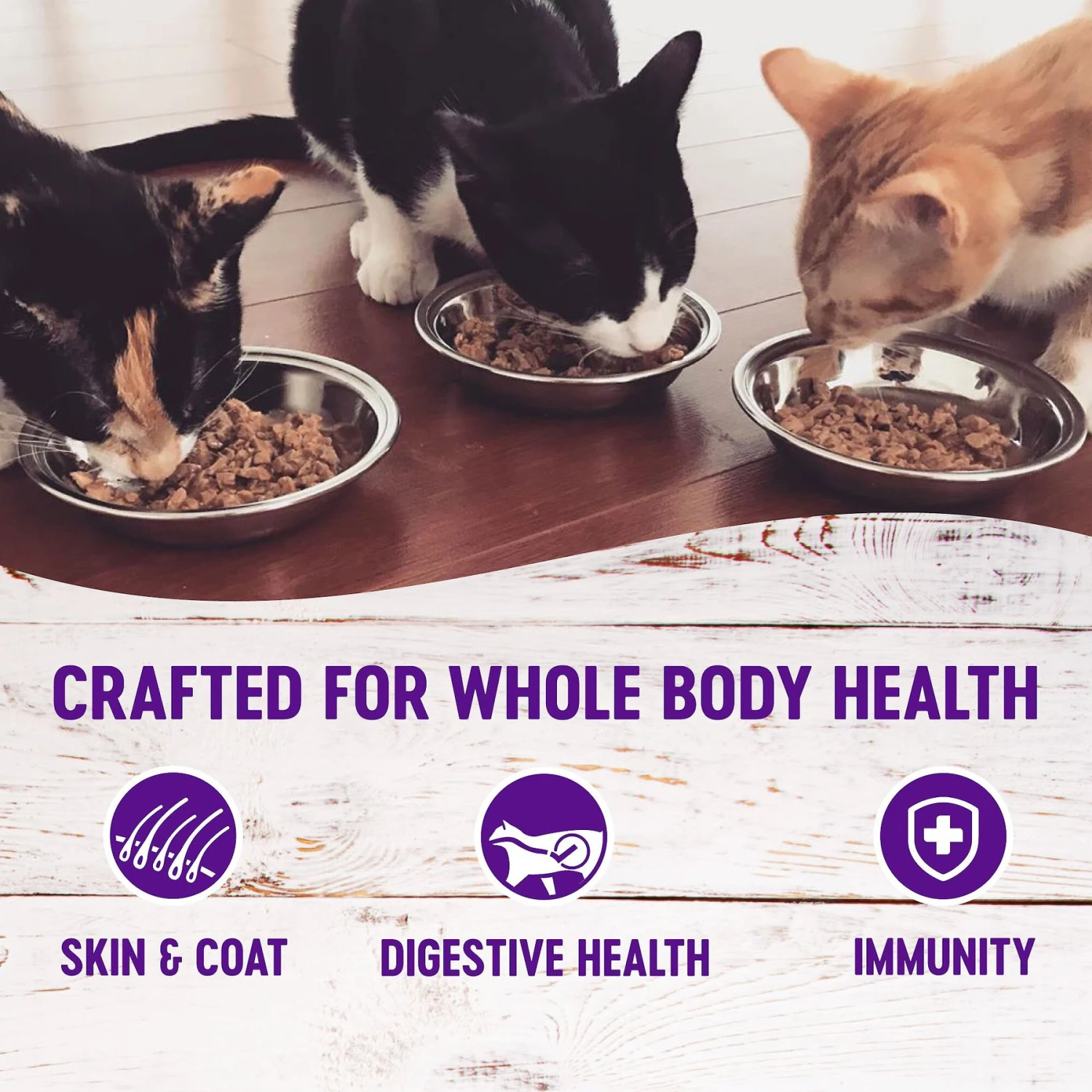 Wellness Healthy Indulgence Morsels With Chicken & Turkey In Savory Sauce Grain-Free Wet Cat Food Pouches 5 Wellness Healthy Indulgence Morsels With Chicken & Turkey In Savory Sauce Grain-Free Wet Cat Food Pouches - Image 3