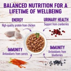 Wellness Healthy Indulgence Morsels With Chicken & Turkey In Savory Sauce Grain-Free Wet Cat Food Pouches 13 Wellness Healthy Indulgence Morsels With Chicken & Turkey In Savory Sauce Grain-Free Wet Cat Food Pouches -Furry Friends 95722 PT3. AC SS1800 V1621990357
