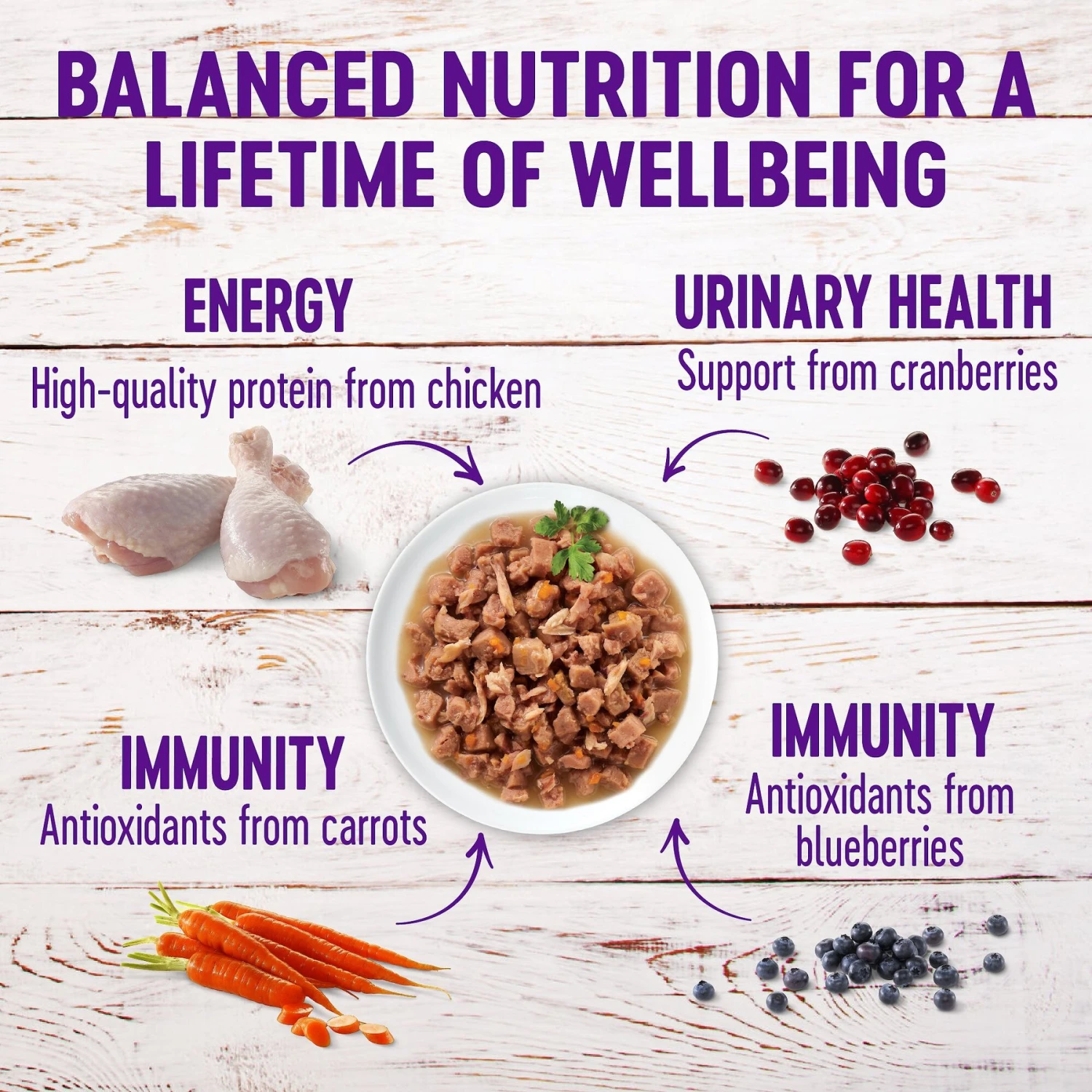 Wellness Healthy Indulgence Morsels With Chicken & Turkey In Savory Sauce Grain-Free Wet Cat Food Pouches 6 Wellness Healthy Indulgence Morsels With Chicken & Turkey In Savory Sauce Grain-Free Wet Cat Food Pouches - Image 4