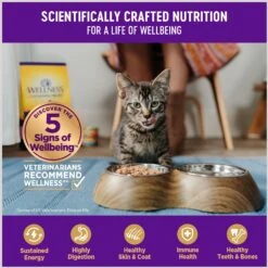 Wellness Healthy Indulgence Morsels With Tuna In Savory Sauce Grain-Free Wet Cat Food Pouches -Furry Friends 95727 PT3. AC SS1800 V1695837643
