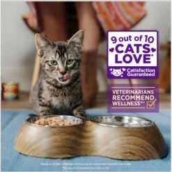Wellness Healthy Indulgence Shreds With Skipjack Tuna & Shrimp In Light Sauce Grain-Free Wet Cat Food Pouches -Furry Friends 95733 PT2. AC SS1800 V1695837175