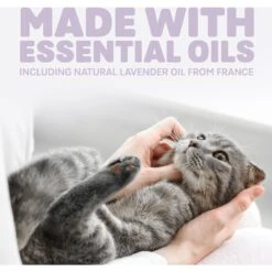 Naturally Fresh Harmony Lavender & Bamboo Scented Clumping Cat Litter 16 Naturally Fresh Harmony Lavender & Bamboo Scented Clumping Cat Litter -Furry Friends 961182 PT5. AC SS1800 V1697726330