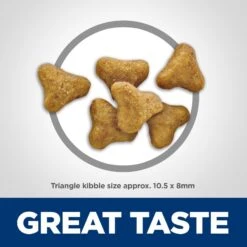 Hill's Science Diet Adult Multiple Benefit Chicken Recipe Dry Cat Food 13 Hill's Science Diet Adult Multiple Benefit Chicken Recipe Dry Cat Food -Furry Friends 96121 PT2. AC SS1800 V1598150461