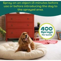 BSerene Pheromone Calming Spray For Dogs, 60-mL Bottle -Furry Friends 961534 PT2. AC SS1800 V1699634974