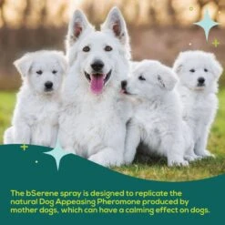 BSerene Pheromone Calming Spray For Dogs, 60-mL Bottle -Furry Friends 961534 PT3. AC SS1800 V1699634975