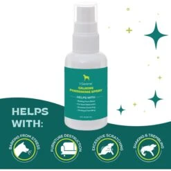 BSerene Pheromone Calming Spray For Dogs, 60-mL Bottle -Furry Friends 961534 PT4. AC SS1800 V1699634976