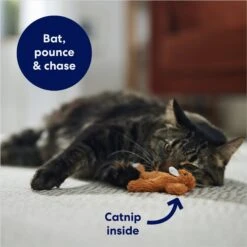 Frisco Squirrel Plush Cat Toy With Refillable Catnip & Frisco Bird With Feathers Teaser Wand Cat Toy With Catnip -Furry Friends 962030 PT3. AC SS1800 V1694783954