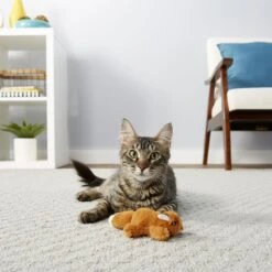 Frisco Squirrel Plush Cat Toy With Refillable Catnip & Frisco Bird With Feathers Teaser Wand Cat Toy With Catnip -Furry Friends 962030 PT4. AC SS1800 V1694783955