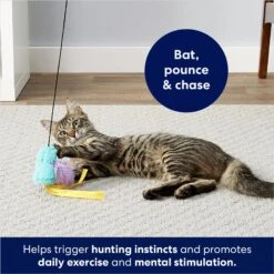 Frisco Squirrel Plush Cat Toy With Refillable Catnip & Frisco Bird With Feathers Teaser Wand Cat Toy With Catnip -Furry Friends 962030 PT8. AC SS1800 V1694783953