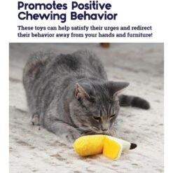 Catstages Dental Banana Cat Chew Toy With Catnip & Catstages Fresh Breath Mint Stick Cat Chew Toy -Furry Friends 962038 PT4. AC SS1800 V1694783952