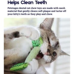Catstages Dental Banana Cat Chew Toy With Catnip & Catstages Fresh Breath Mint Stick Cat Chew Toy -Furry Friends 962038 PT7. AC SS1800 V1694783953