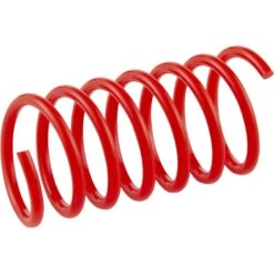 Frisco Colorful Springs Cat Toy & Frisco Bird With Feathers Teaser Wand Cat Toy With Catnip -Furry Friends 962126 PT2. AC SS1800 V1694782921