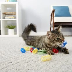 Frisco Colorful Springs Cat Toy & Frisco Bird With Feathers Teaser Wand Cat Toy With Catnip -Furry Friends 962126 PT4. AC SS1800 V1694782923